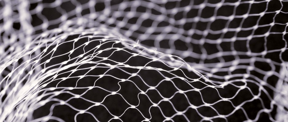 a black and white net