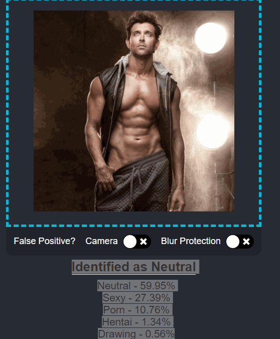 NSFW.js: Machine Learning Applied to Client-Side Indecent Content Detection