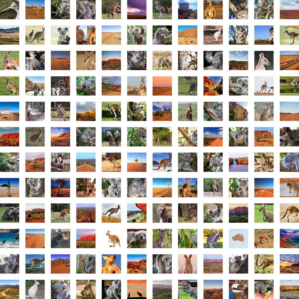 Recognizing Animals in Photos: Building an AI model for Object Recognition  - Mobile Monitoring Solutions