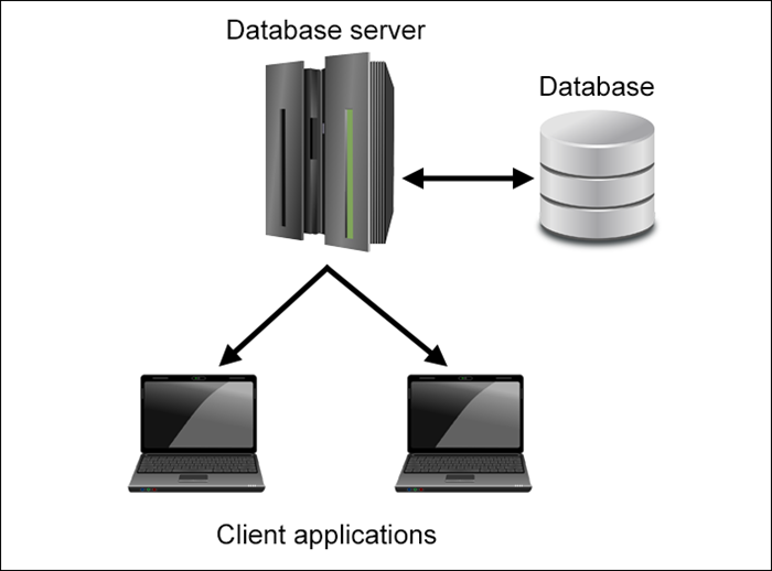 What Is a Database Server &amp; What Is It Used For