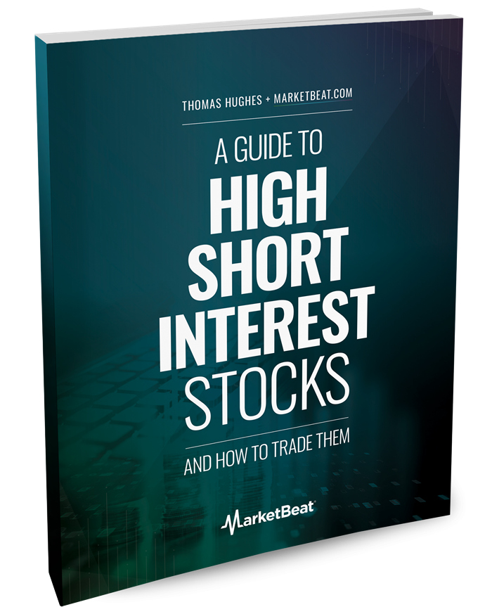 A Guide To High-Short-Interest Stocks Cover