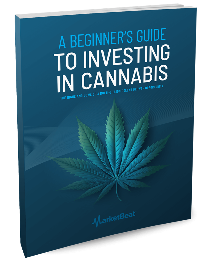 A Beginner's Guide to Investing in Cannabis Cover