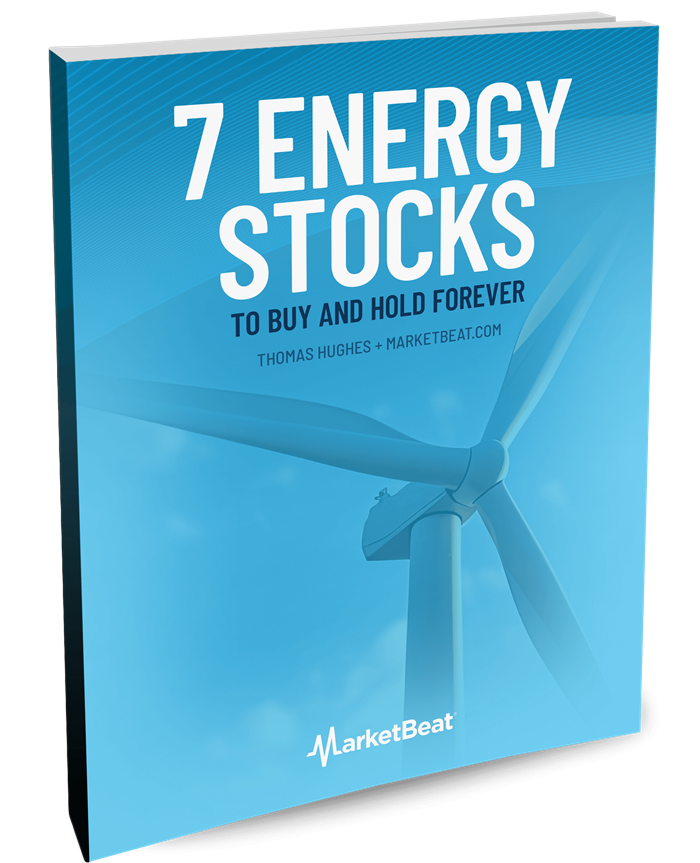 7 Energy Stocks to Buy and Hold Forever Cover